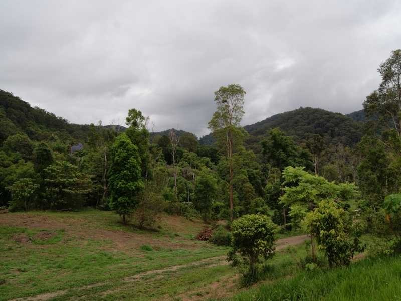 21 Dry Creek Road Upper Main Arm, Mullumbimby NSW 2482