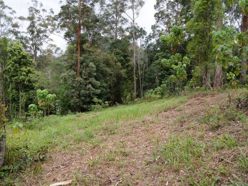 21 Dry Creek Road Upper Main Arm, Mullumbimby NSW 2482