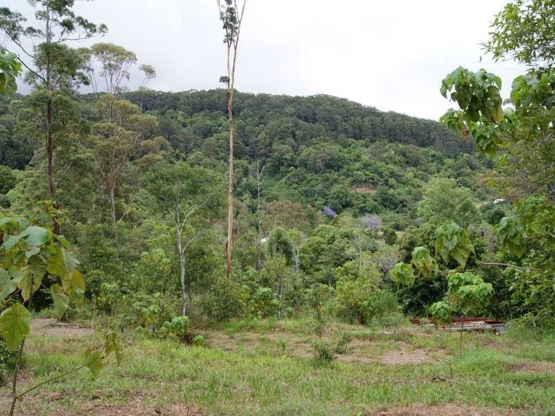 21 Dry Creek Road Upper Main Arm, Mullumbimby NSW 2482