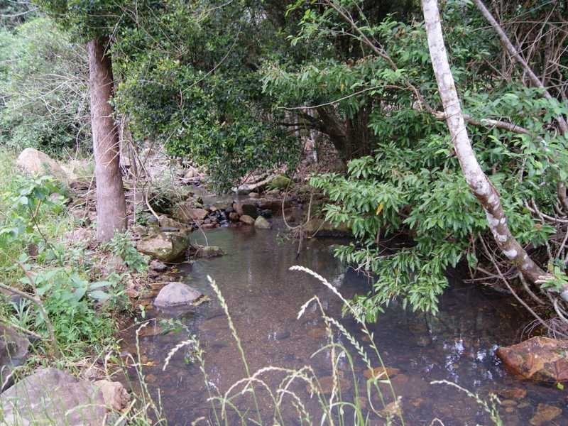 21 Dry Creek Road Upper Main Arm, Mullumbimby NSW 2482