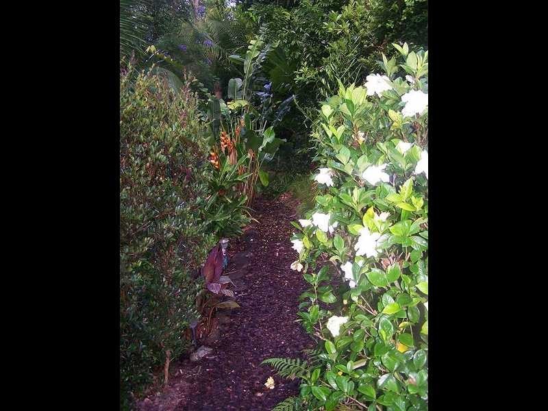 11 Goondooloo Drive, Ocean Shores NSW 2483