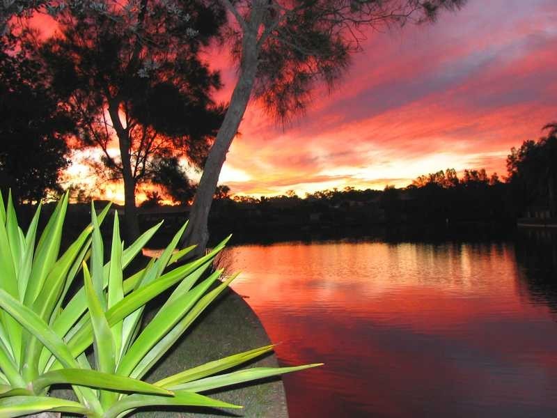 17 Berrimbillah Court, Ocean Shores NSW 2483