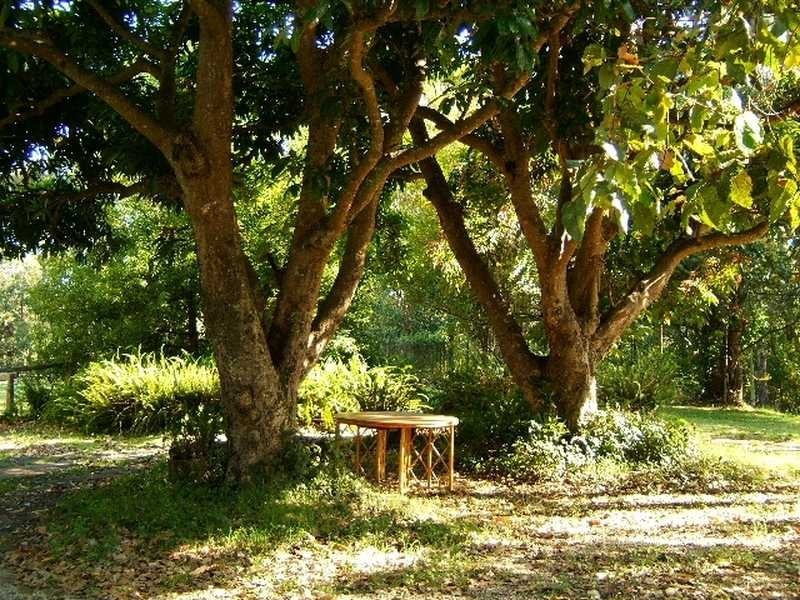 Lot 341 The Tunnell Road, Billinudgel NSW 2483