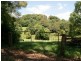 Lot 341 The Tunnell Road, Billinudgel NSW 2483