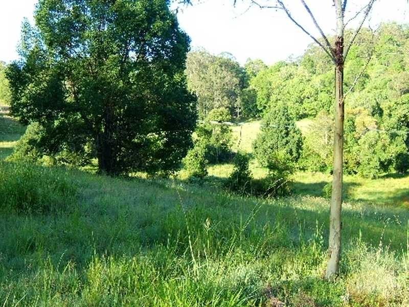 Lot 341 The Tunnell Road, Billinudgel NSW 2483