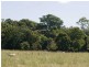 855 Smiths Creek Road, Stokers Siding NSW 2484