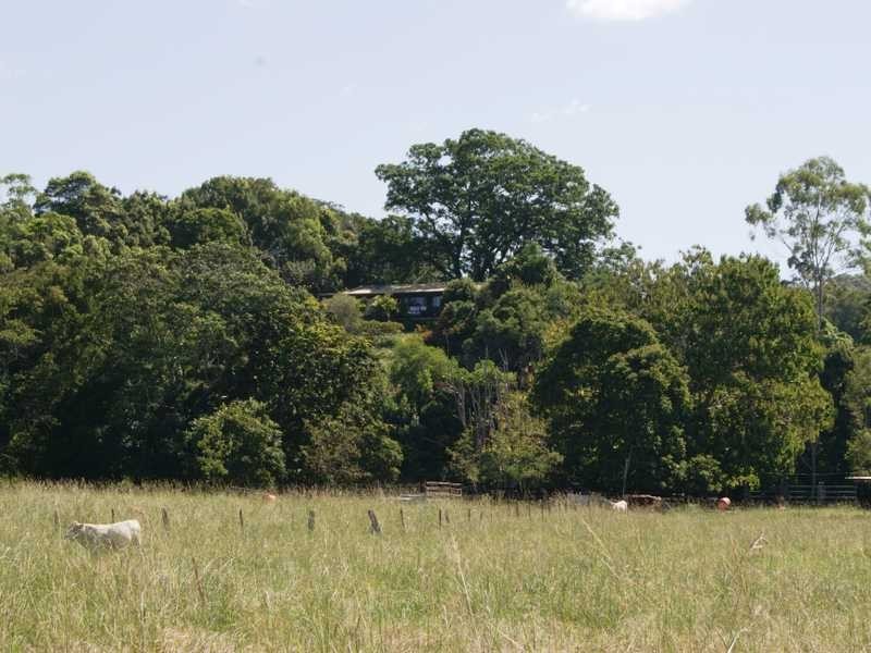855 Smiths Creek Road, Stokers Siding NSW 2484