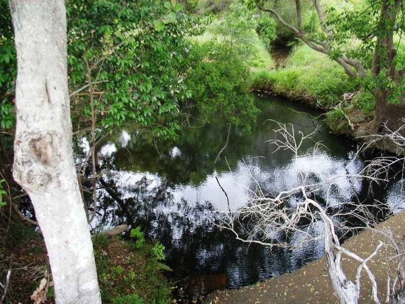 855 Smiths Creek Road, Stokers Siding NSW 2484