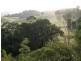 855 Smiths Creek Road, Stokers Siding NSW 2484