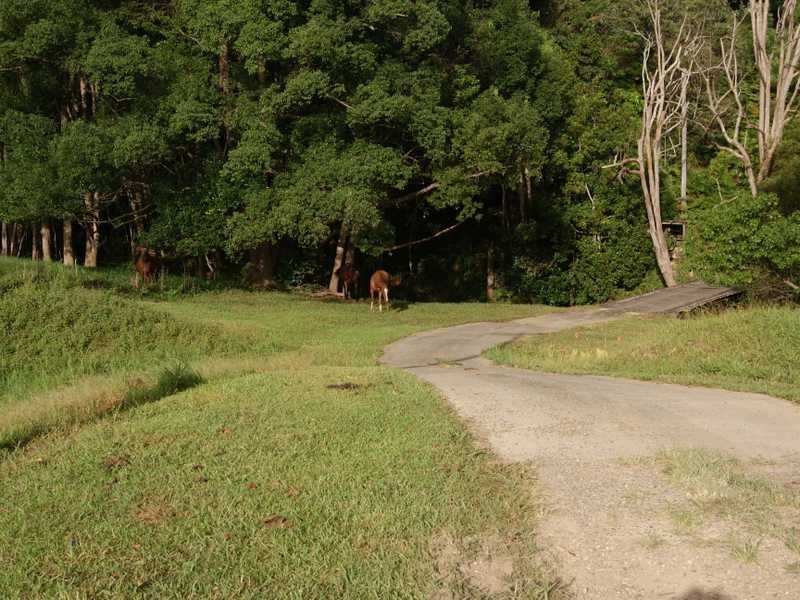 855 Smiths Creek Road, Stokers Siding NSW 2484