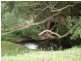 855 Smiths Creek Road, Stokers Siding NSW 2484