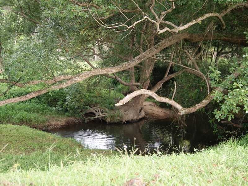 855 Smiths Creek Road, Stokers Siding NSW 2484