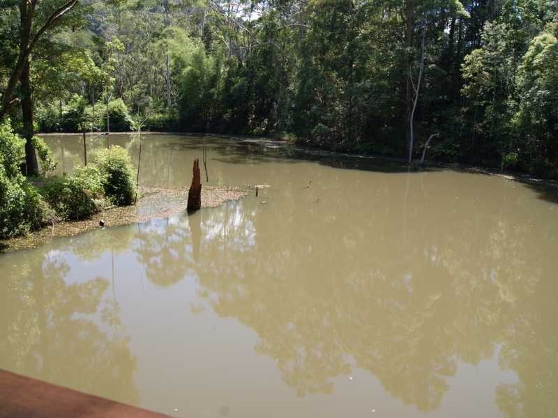 1143 Main Arm Road UPPER MAIN ARM, Mullumbimby NSW 2482