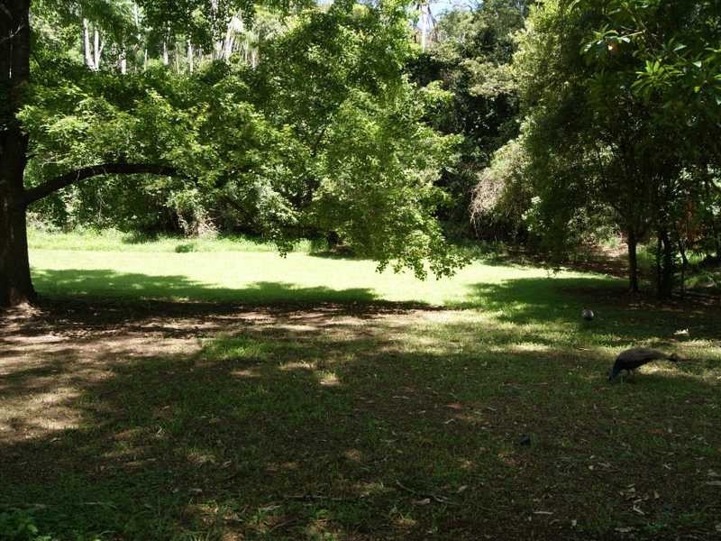 1143 Main Arm Road UPPER MAIN ARM, Mullumbimby NSW 2482