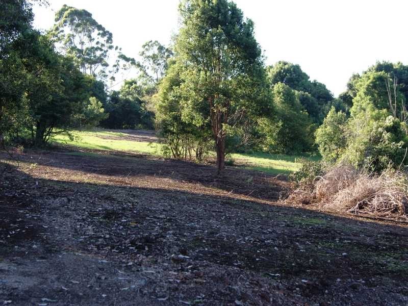 575 Binna Burra Road, Federal NSW 2480