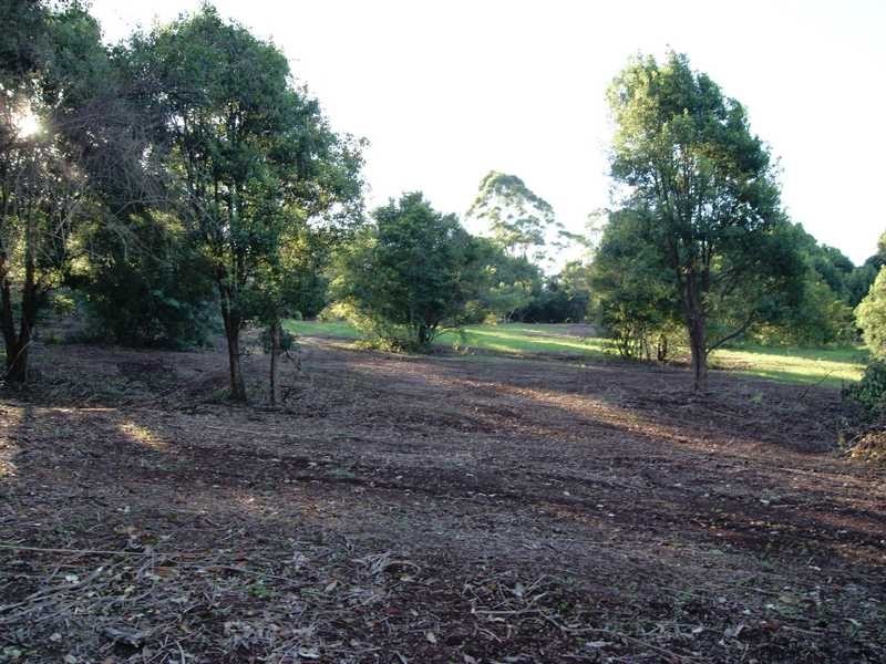 575 Binna Burra Road, Federal NSW 2480