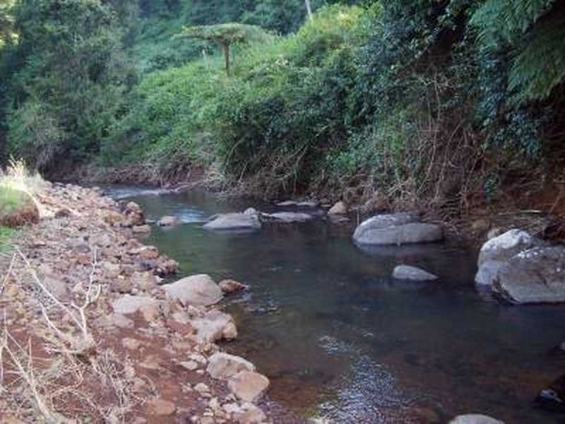 575 Binna Burra Road, Federal NSW 2480