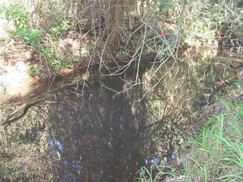 575 Binna Burra Road, Federal NSW 2480