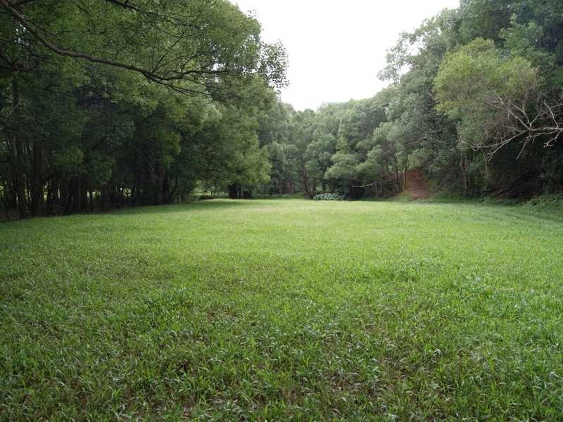 49 Blakeney’s Road, Stokers Siding NSW 2484