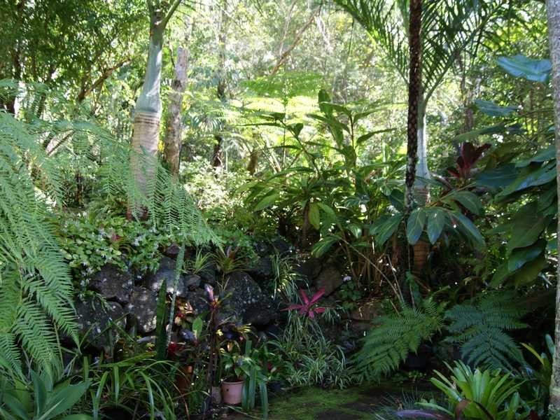 15 Yamble Drive, Ocean Shores NSW 2483