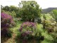 3 Old Pacific Highway, Burringbar NSW 2483