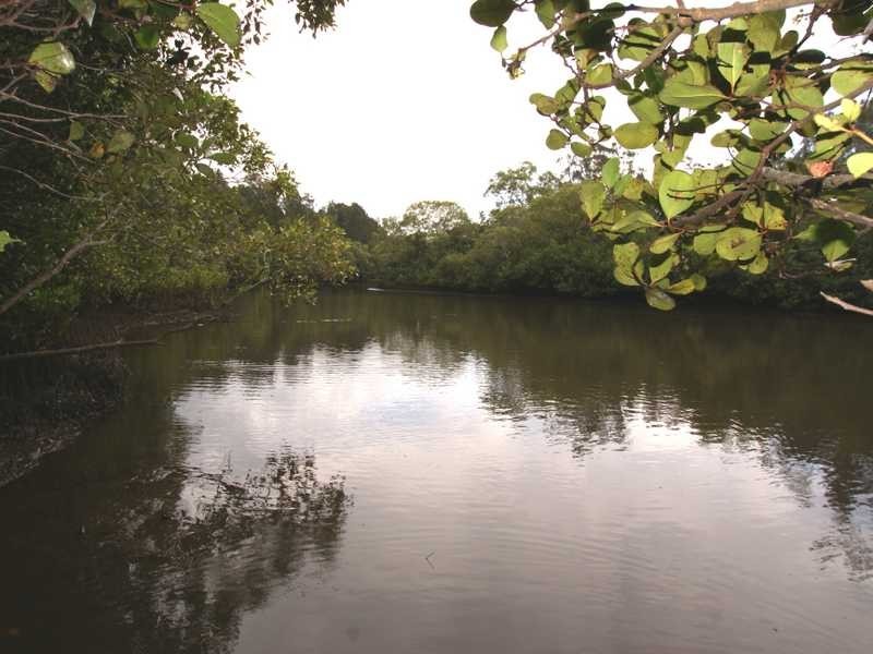 11B Wirree Drive, Ocean Shores NSW 2483