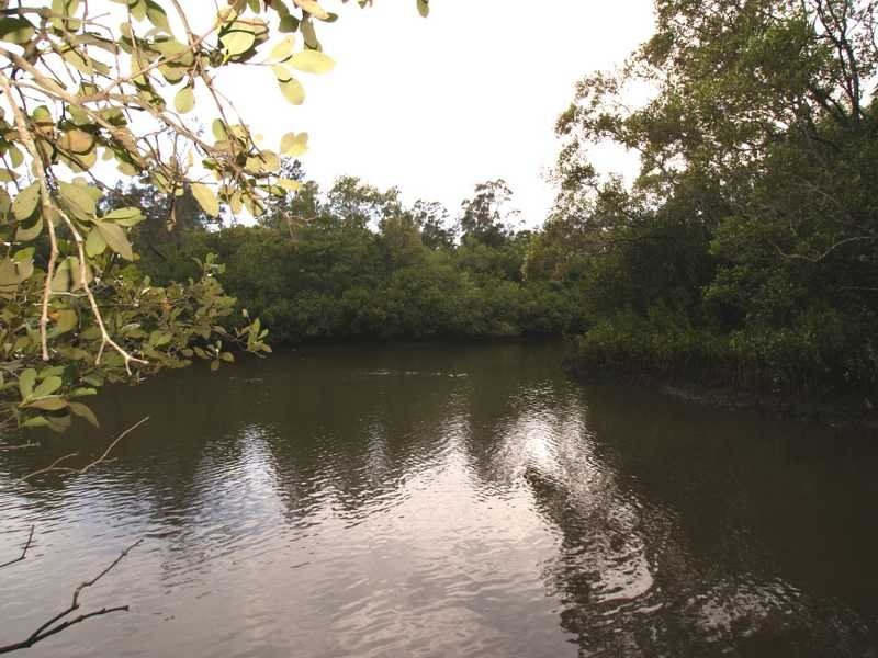 11B Wirree Drive, Ocean Shores NSW 2483