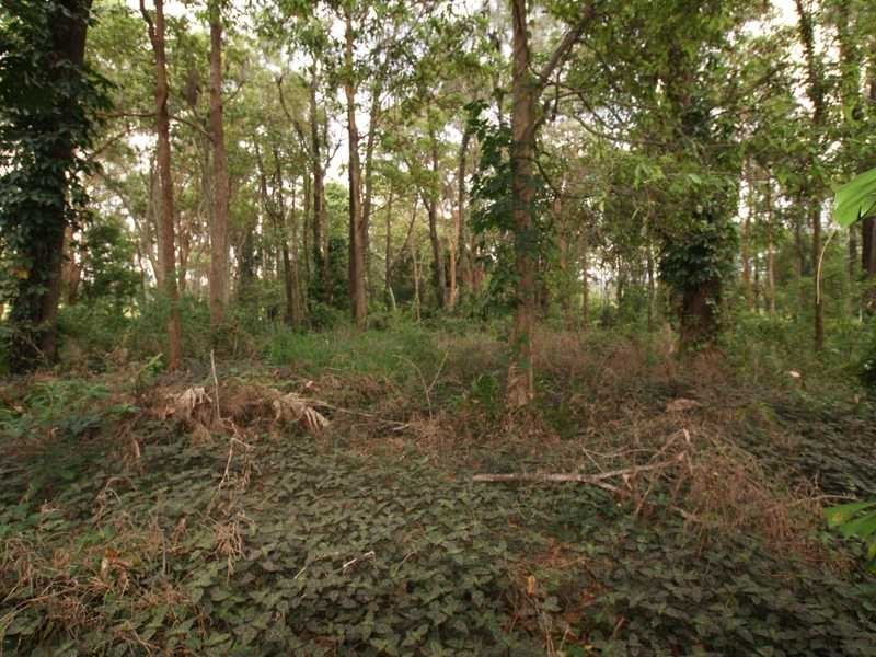 11B Wirree Drive, Ocean Shores NSW 2483