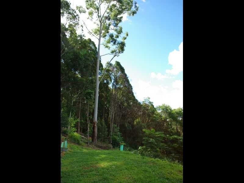 Lot 6 Binalong Court, Burringbar NSW 2483