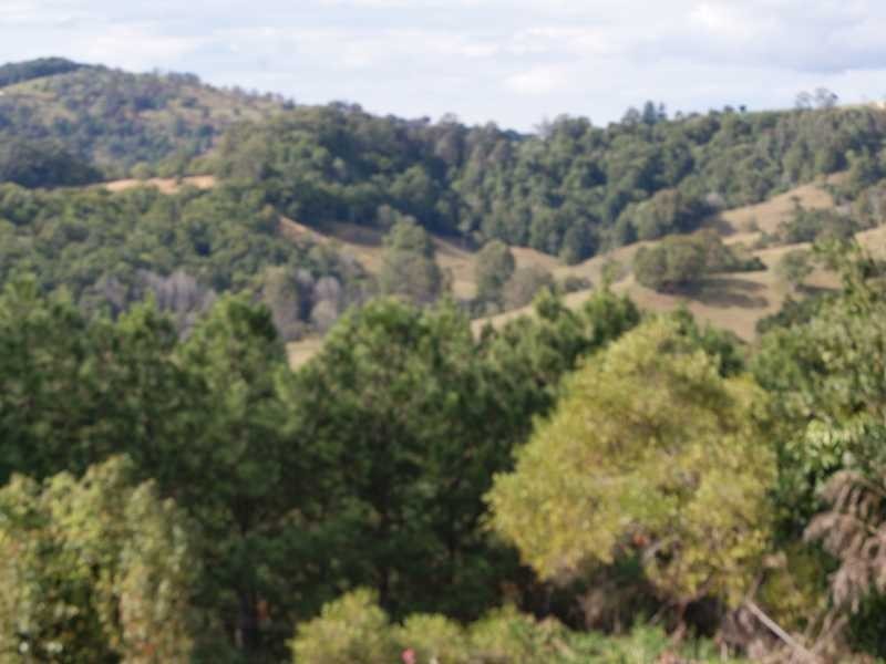 850 The Pocket Road, The Pocket NSW 2483