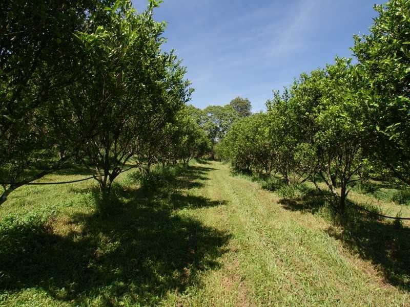 114 Howards Road, Burringbar NSW 2483