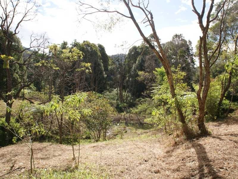 431 Middle Pocket Road, Middle Pocket NSW 2483