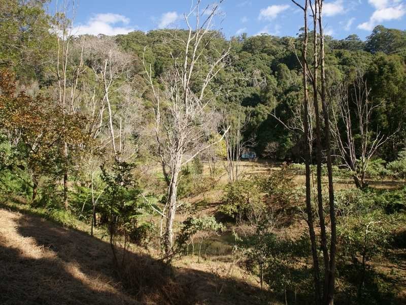 431 Middle Pocket Road, Middle Pocket NSW 2483