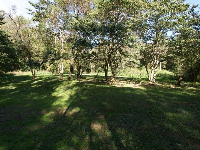 40B Hardy Avenue, Ocean Shores NSW 2483