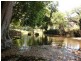 34 Crabbes Creek Road, Crabbes Creek NSW 2483