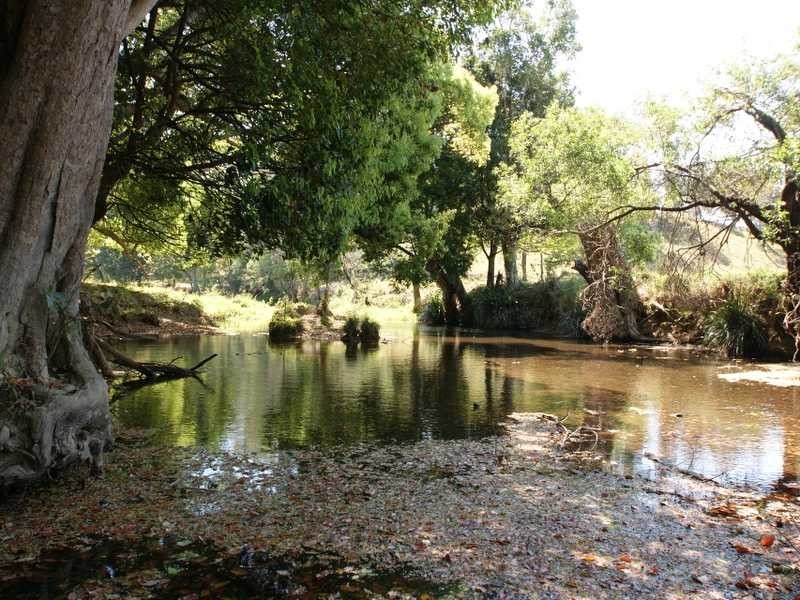 34 Crabbes Creek Road, Crabbes Creek NSW 2483