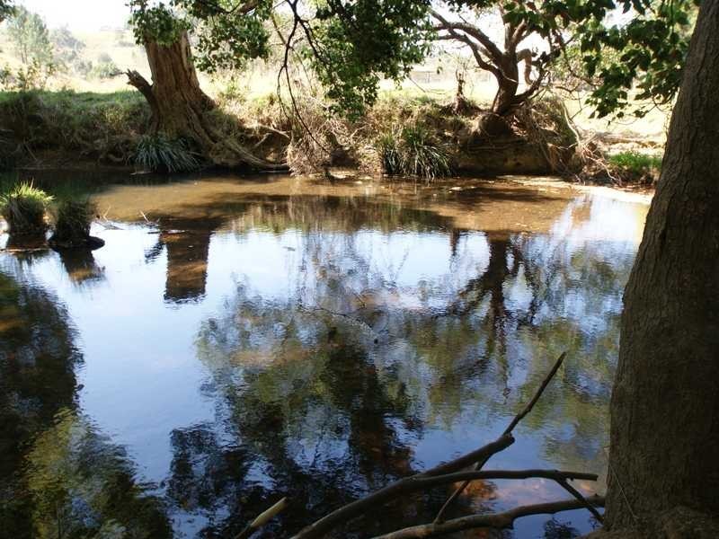 34 Crabbes Creek Road, Crabbes Creek NSW 2483