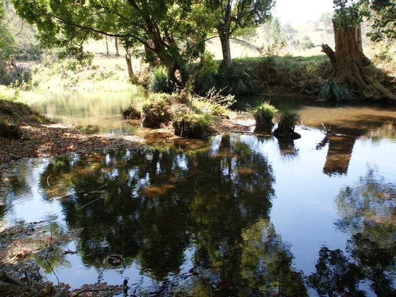 34 Crabbes Creek Road, Crabbes Creek NSW 2483