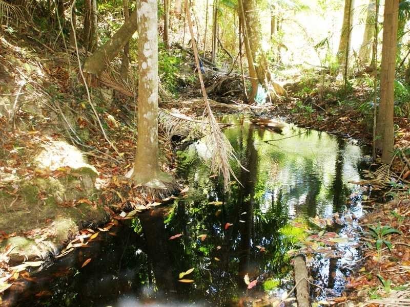 453 Cudgera Creek Road, Cudgera Creek NSW 2484