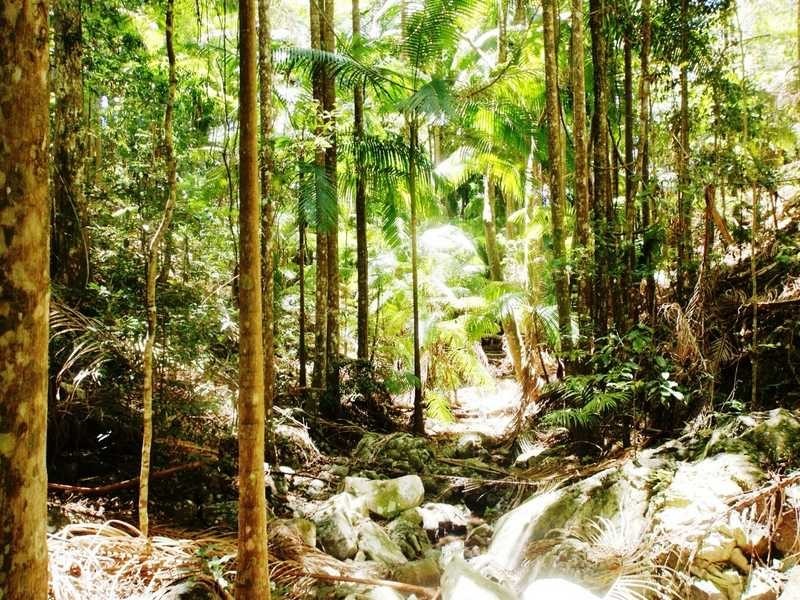 453 Cudgera Creek Road, Cudgera Creek NSW 2484