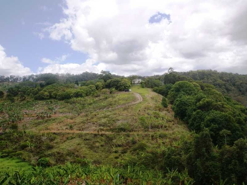 453 Cudgera Creek Road, Cudgera Creek NSW 2484