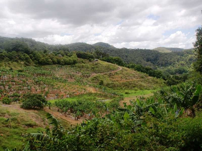 453 Cudgera Creek Road, Cudgera Creek NSW 2484