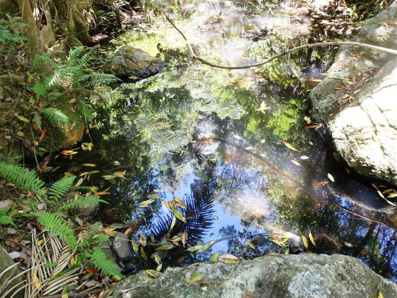 453 Cudgera Creek Road, Cudgera Creek NSW 2484