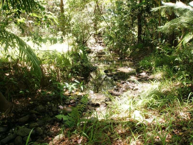 453 Cudgera Creek Road, Cudgera Creek NSW 2484