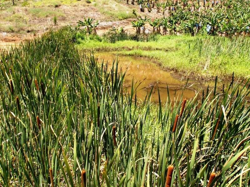 453 Cudgera Creek Road, Cudgera Creek NSW 2484