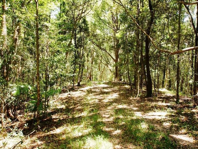 453 Cudgera Creek Road, Cudgera Creek NSW 2484