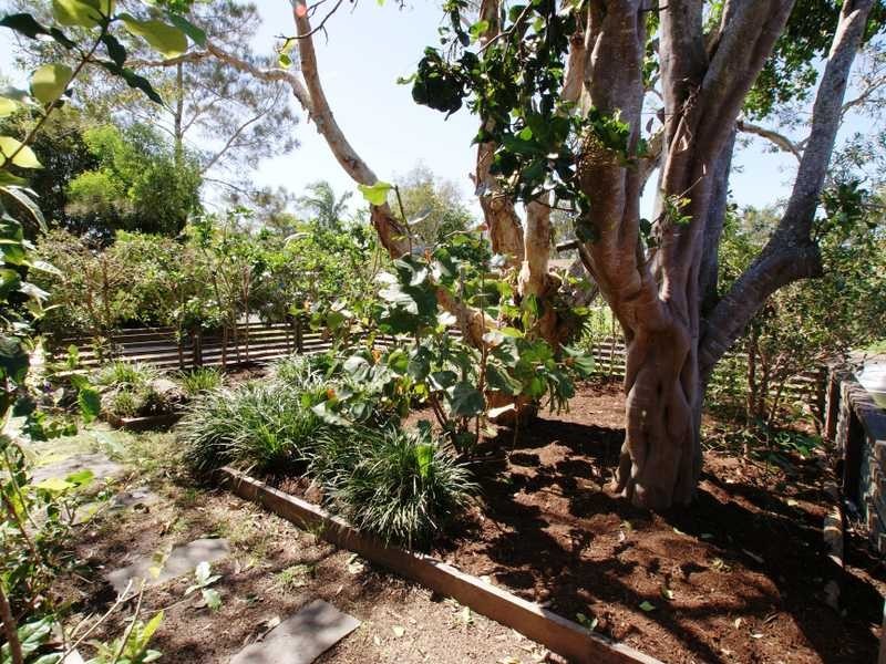 2/5 Barkala Court, Ocean Shores NSW 2483