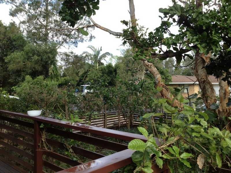 2/5 Barkala Court, Ocean Shores NSW 2483