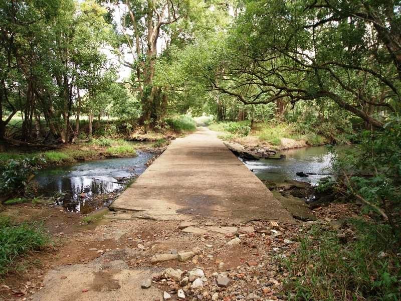 1 Settlement Road, Main Arm NSW 2482