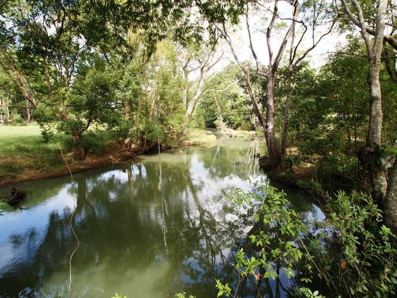 1 Settlement Rd, Main Arm NSW 2482